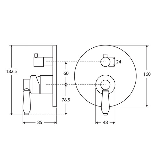 Eleanor Wall Diverter Mixer
