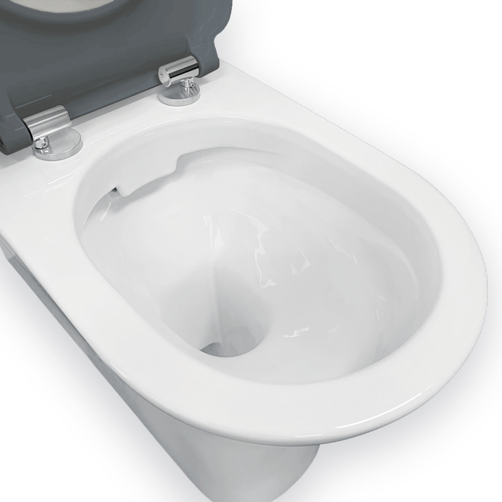Delta Care P-Trap Back to Wall Toilet Suite
