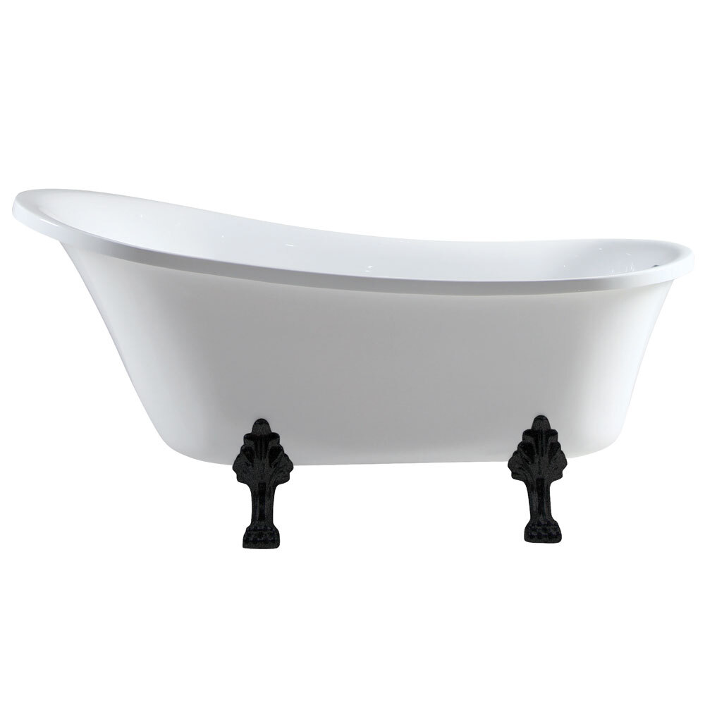 Lion Claw Foot Bath Tub with Black Feet