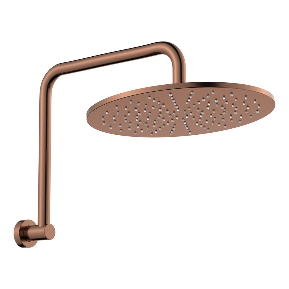 Empire Slim Gooseneck Shower Arm & Head
