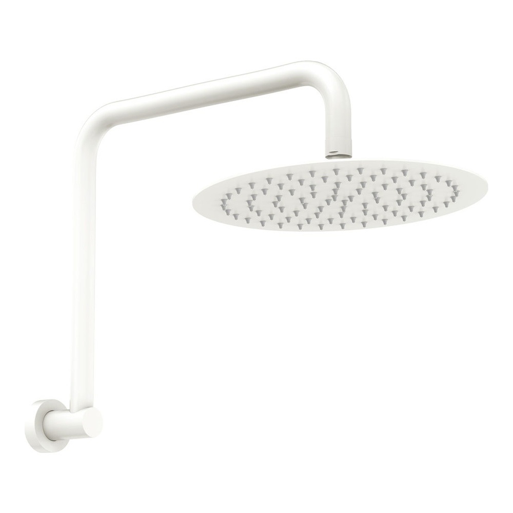 Kaya Gooseneck Shower Arm & Head