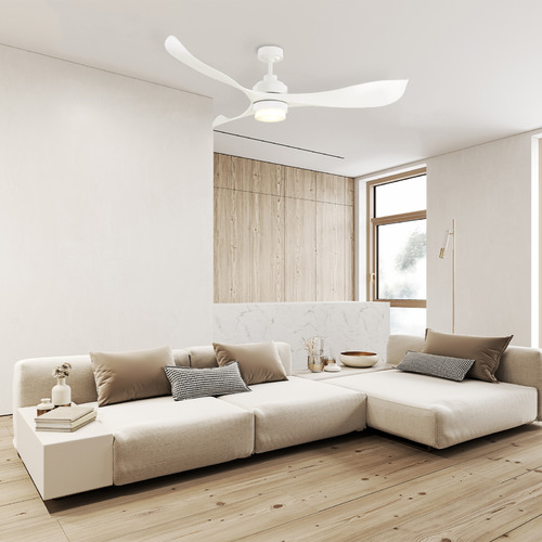 Eagle DC Ceiling Fan with LED Light