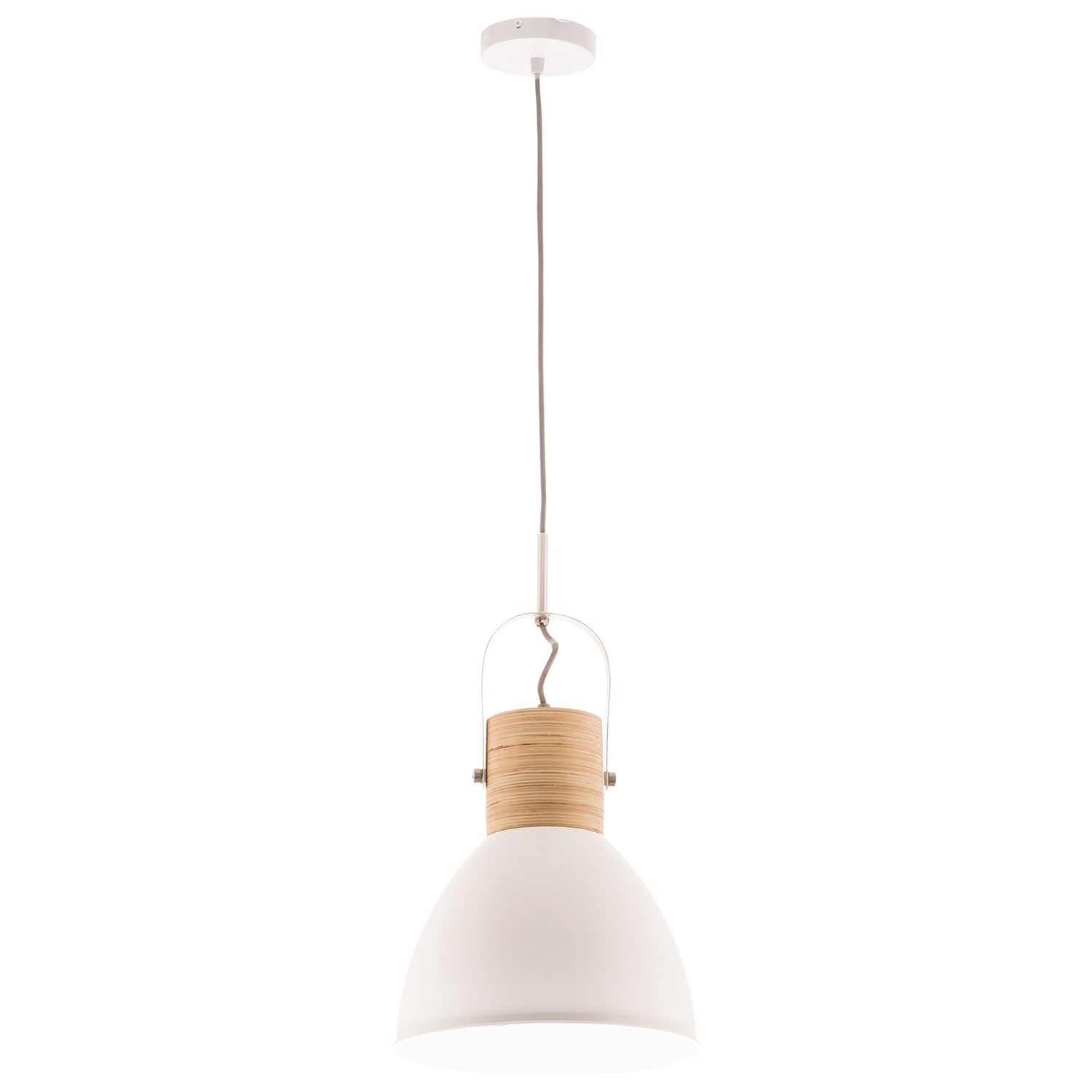 Ruston Iron Pendant Light