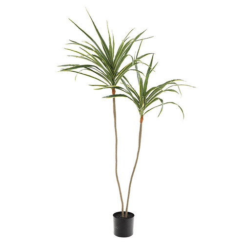 135cm Potted Faux Dracaena Plants Temple & ster