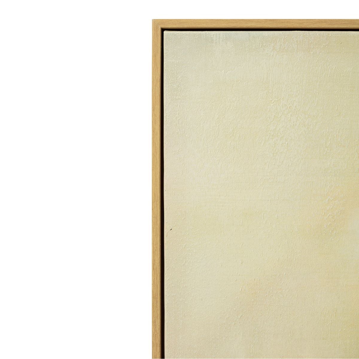 Soft Focus Framed Canvas Wall Art