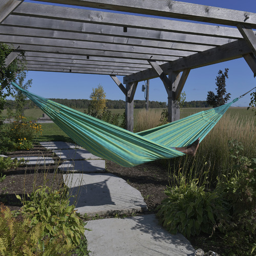 Latin Double Cotton Hammock
