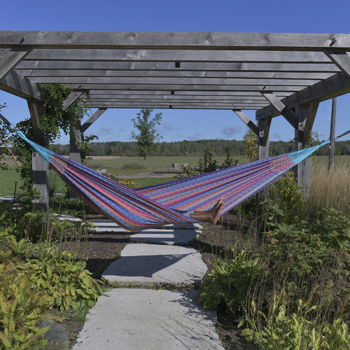 Latin Double Cotton Hammock