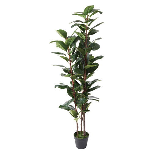 169cm Potted Faux Rubber Tree