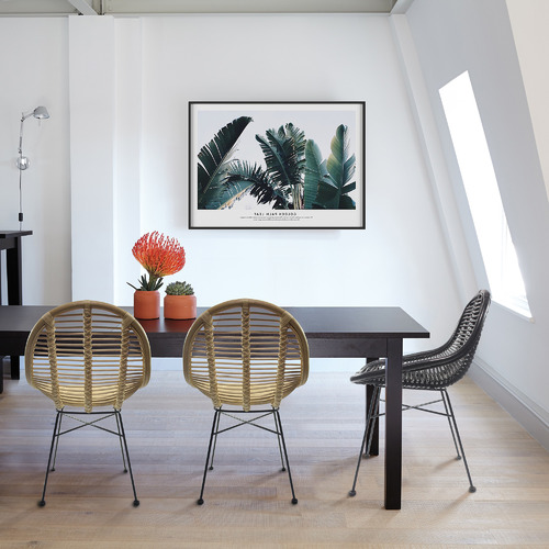 Estudio Furniture Adeline Rattan Dining Chairs