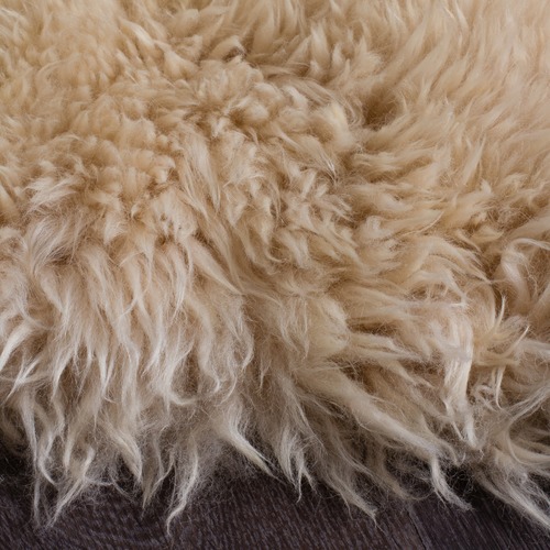 Champagne Sheepskin Rug
