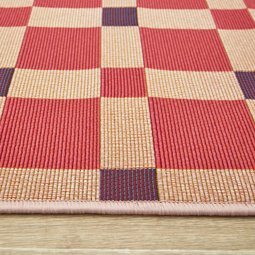 Pink Clement Indoor/Outdoor Rug