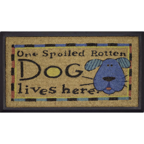 R/C Spoiled dog