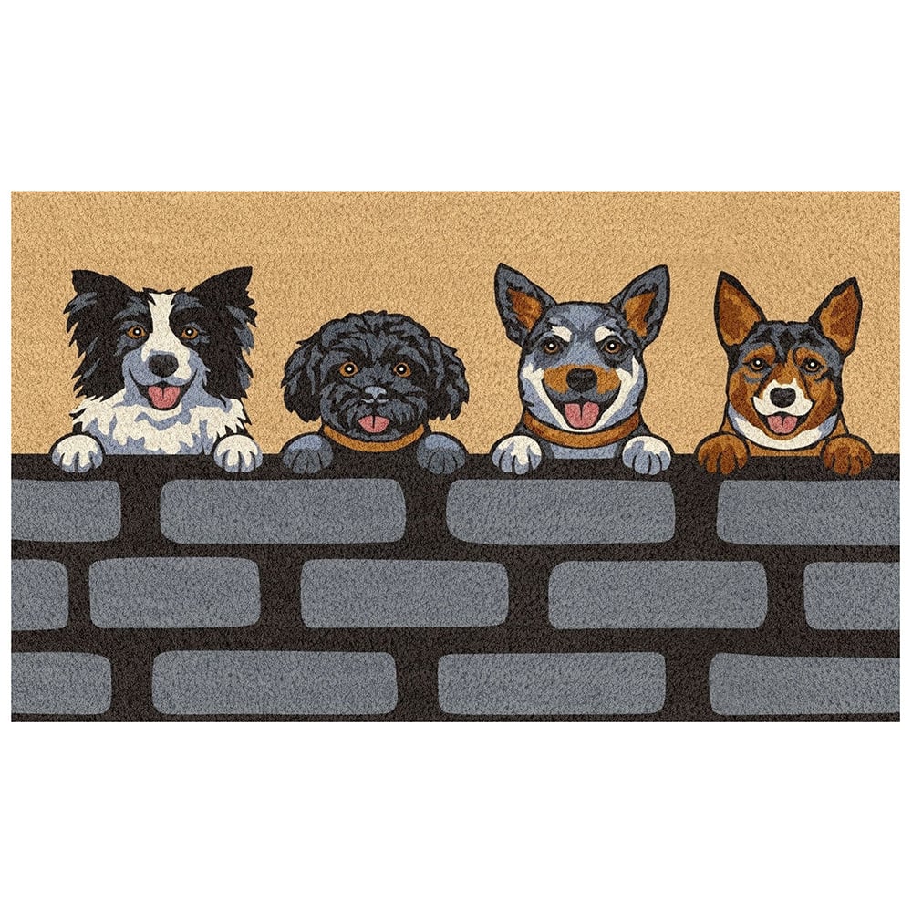Paws & Bricks Coir Doormat