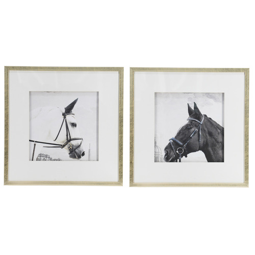2 Piece Horse Framed Printed Wall Art Set