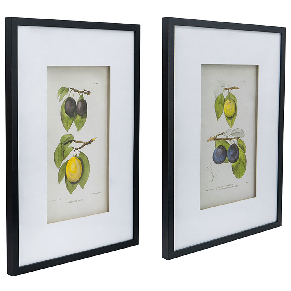 2 Piece Botanical Framed Paper Print Wall Art Set