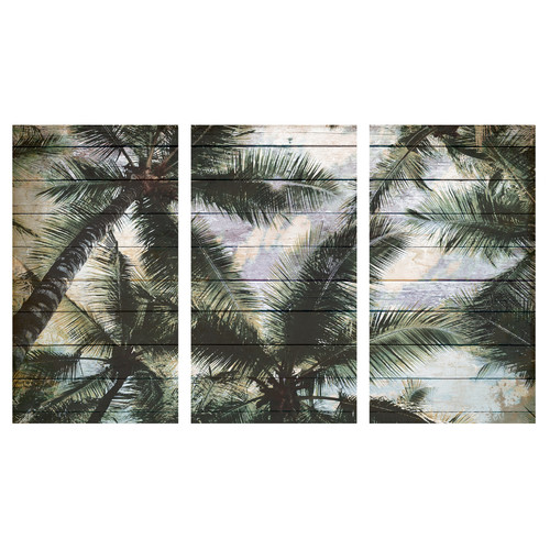 A La Mode Studio Shaded Palms Triptych | Temple & Webster