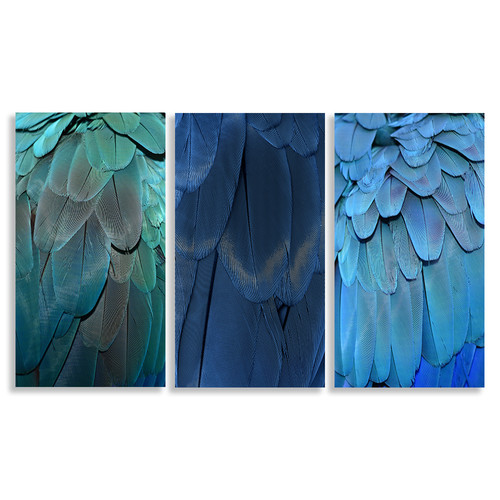 Feathers 3 Piece Canvas Print