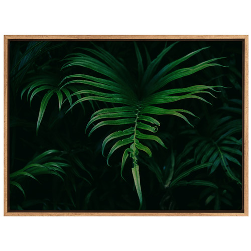 Hiding-in-the-Shadows-Plant-Canvas-Wall-Art-UR_17_03_035