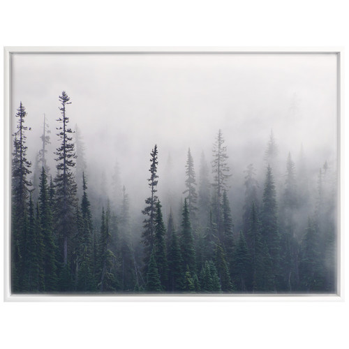 Enveloped-Forest-Canvas-Wall-Art-UR_17_03_048