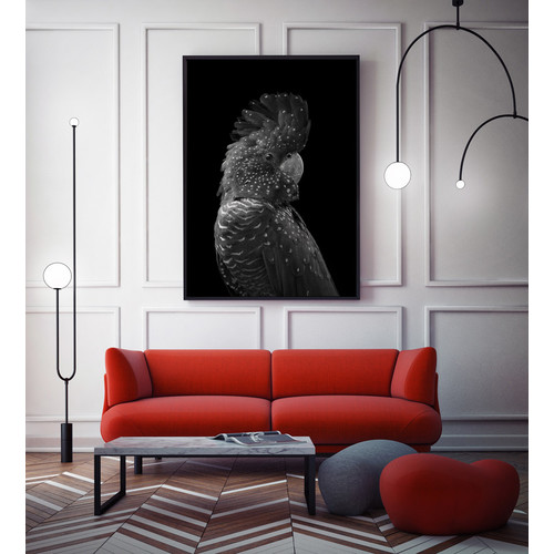 The-Masked-Ball-Black-Cockatoo-Canvas-Wall-Art-UR_17_03_061