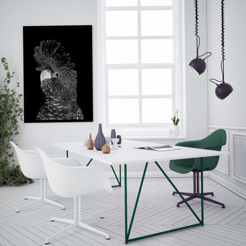 The-Masked-Ball-II-Black-Cockatoo-Canvas-Wall-Art-UR_17_03_062