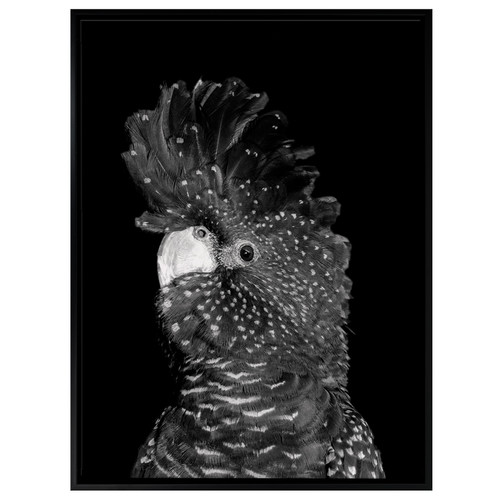 The-Masked-Ball-II-Black-Cockatoo-Canvas-Wall-Art-UR_17_03_062
