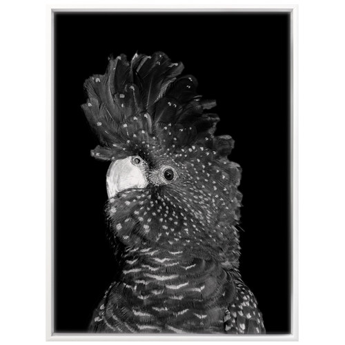 The-Masked-Ball-II-Black-Cockatoo-Canvas-Wall-Art-UR_17_03_062