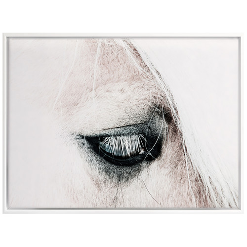In-the-Blink-of-a-Horse-Eye-Canvas-Wall-Art-UR_17_03_004