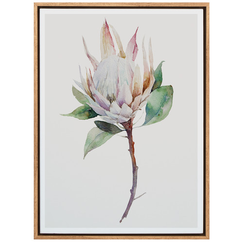 A La Mode Studio Cool Botanical Canvas Wall Art Reviews Temple Webster