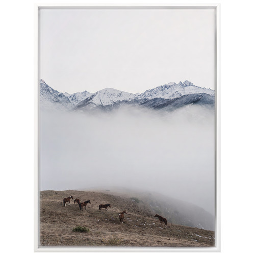 Horse-Separation-Canvas-Wall-Art-UR_17_03_013