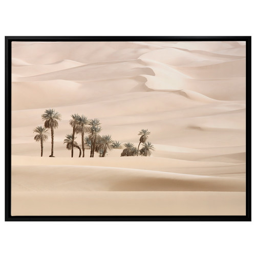 Sweet-Mirage-Desert-Palms-Canvas-Wall-Art-UR_17_03_016