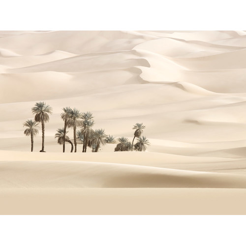 Sweet-Mirage-Desert-Palms-Canvas-Wall-Art-UR_17_03_016