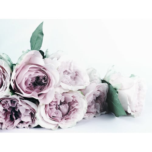Everlasting-Flora-Canvas-Wall-Art-UR_17_03_065