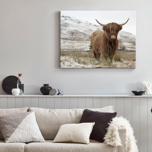 A La Mode Studio Great Hair Don't Care Yak Canvas Wall Art | Temple ...