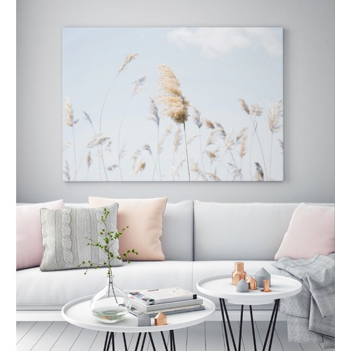 Pampas Grass Canvas Wall Art Temple & ster