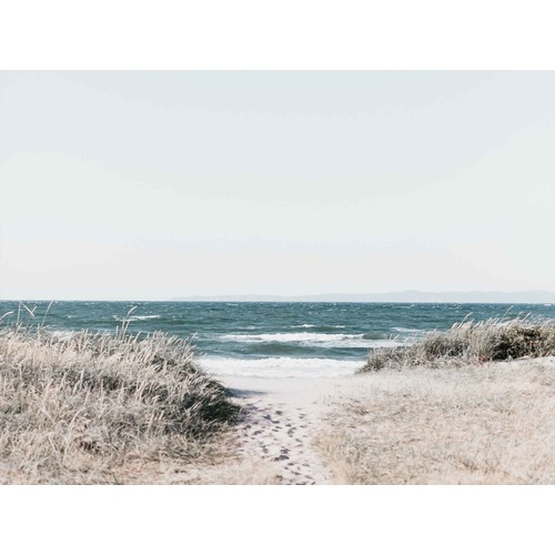 Footprints Canvas Wall Art