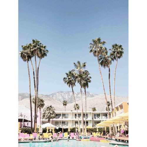 Palm Springs Canvas Wall Art