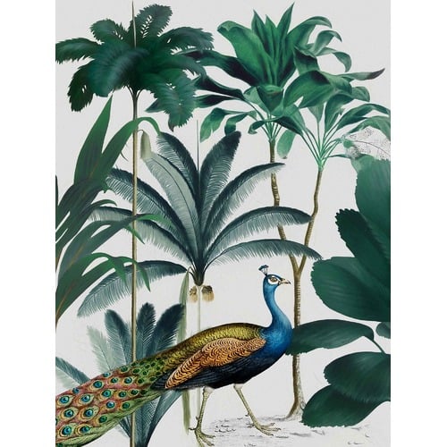 Peacock Parade Canvas Wall Art