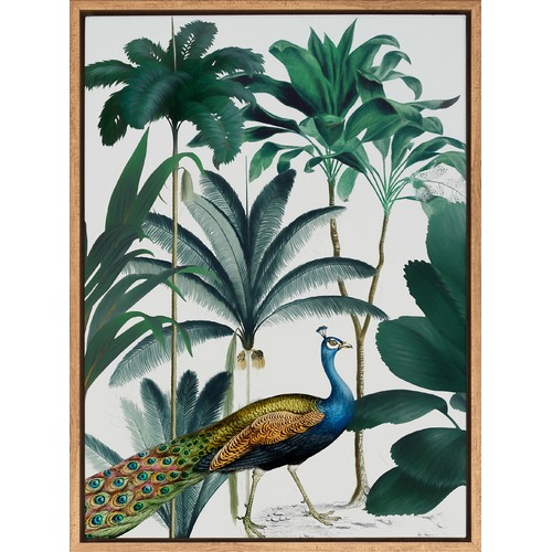 Peacock Parade Canvas Wall Art