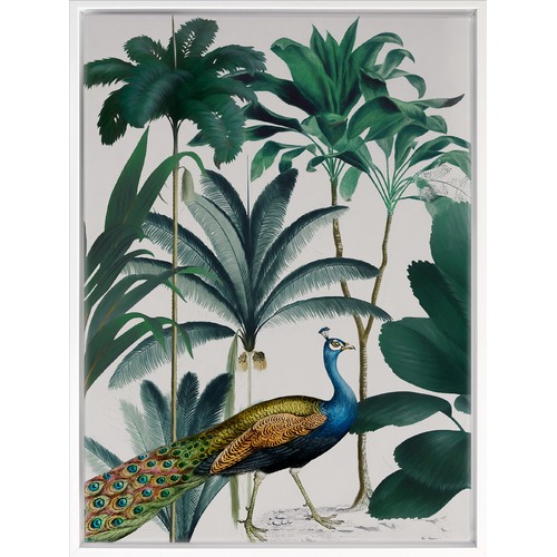Peacock Parade Canvas Wall Art