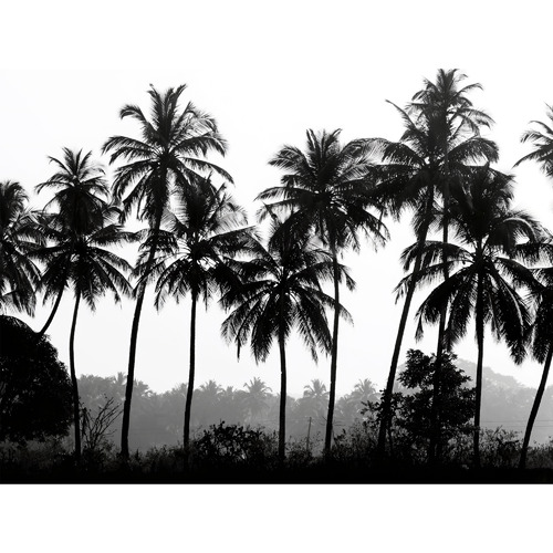 Palm Silhouette Canvas Wall Art