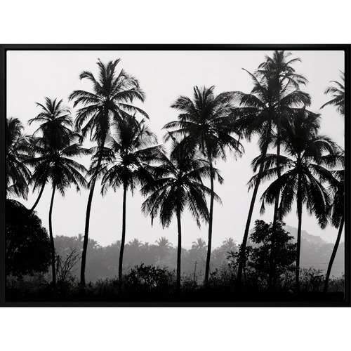 Palm Silhouette Canvas Wall Art
