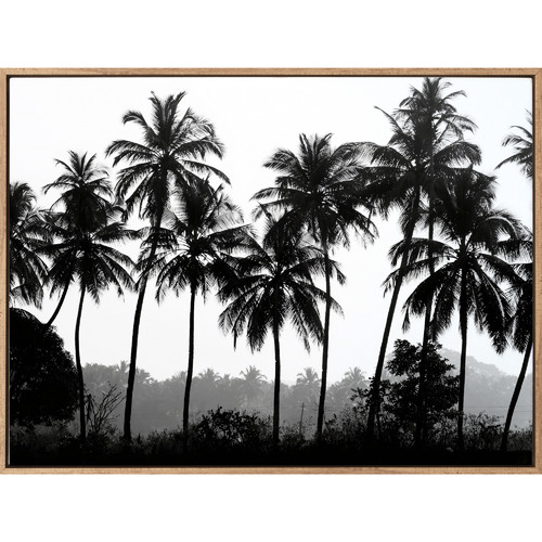 Palm Silhouette Canvas Wall Art