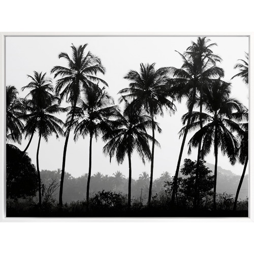 Palm Silhouette Canvas Wall Art