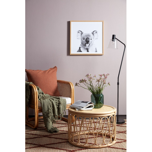 Oh-Hi-Koala-Photographic-Art-Print-17_06_017