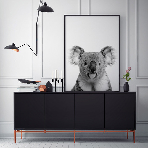 Oh-Hi-Koala-Photographic-Art-Print-17_06_017