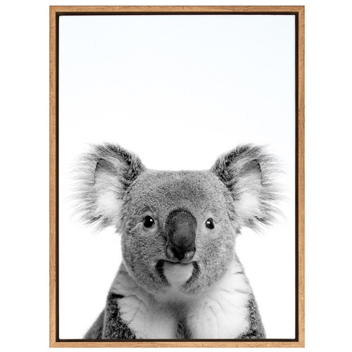 Oh-Hi-Koala-Photographic-Art-Print-17_06_017