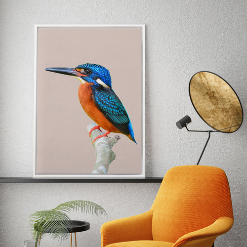 Prettier Than You Bird Canvas Wall Art