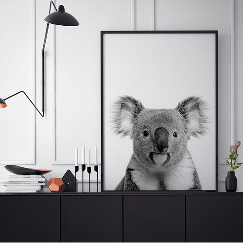 Oh Hi Koala Photographic Art Print