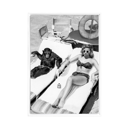 Friends in High Places Framed Canvas Wall Art